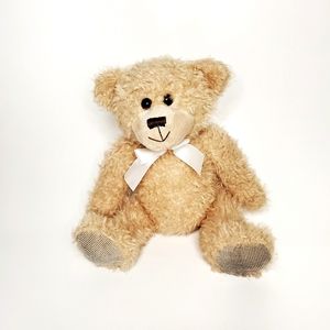 COPY - THE PETTING ZOO 8 inch Plush Teddy Bear